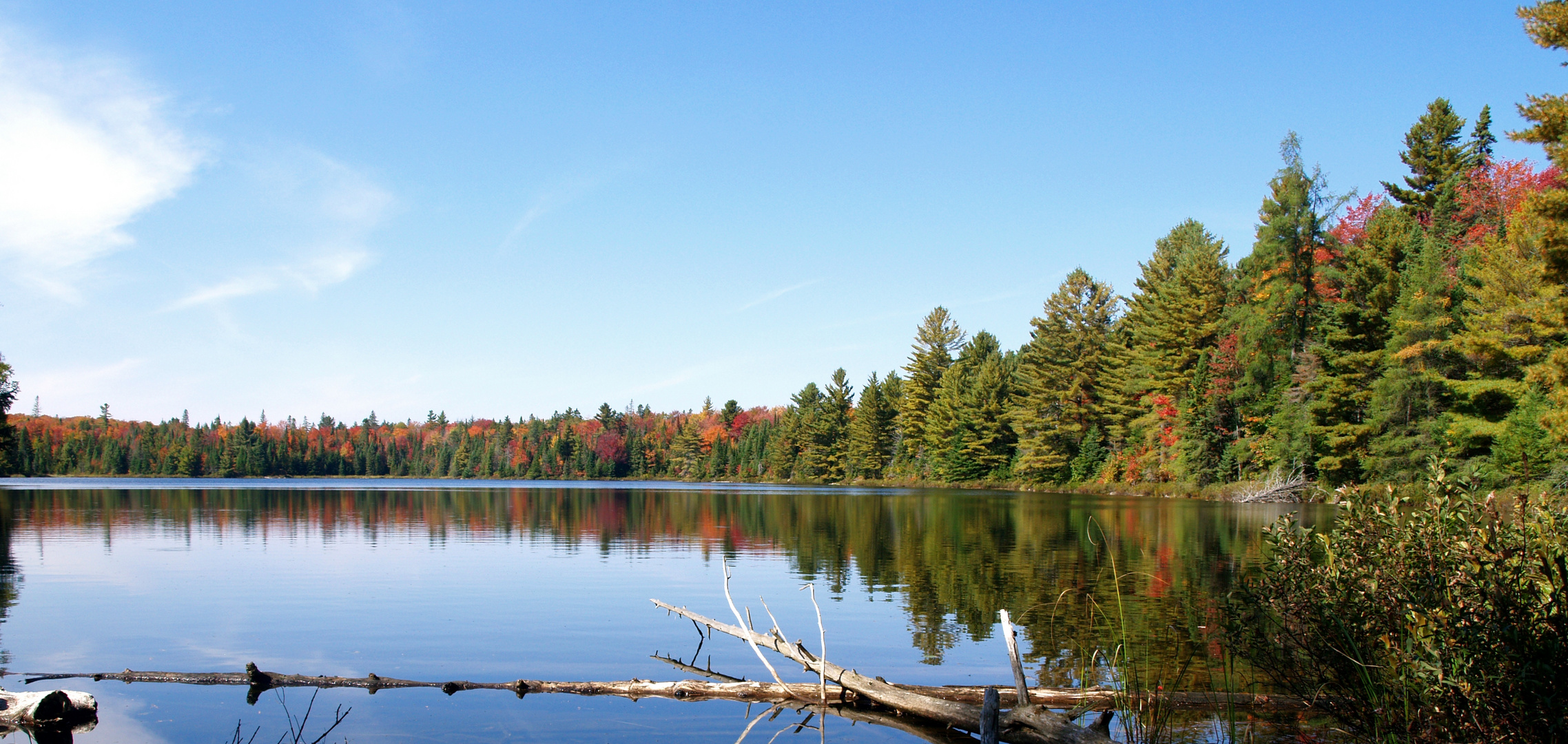 Indian Summer im Algonquin National Park