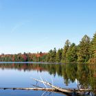 Indian Summer im Algonquin National Park