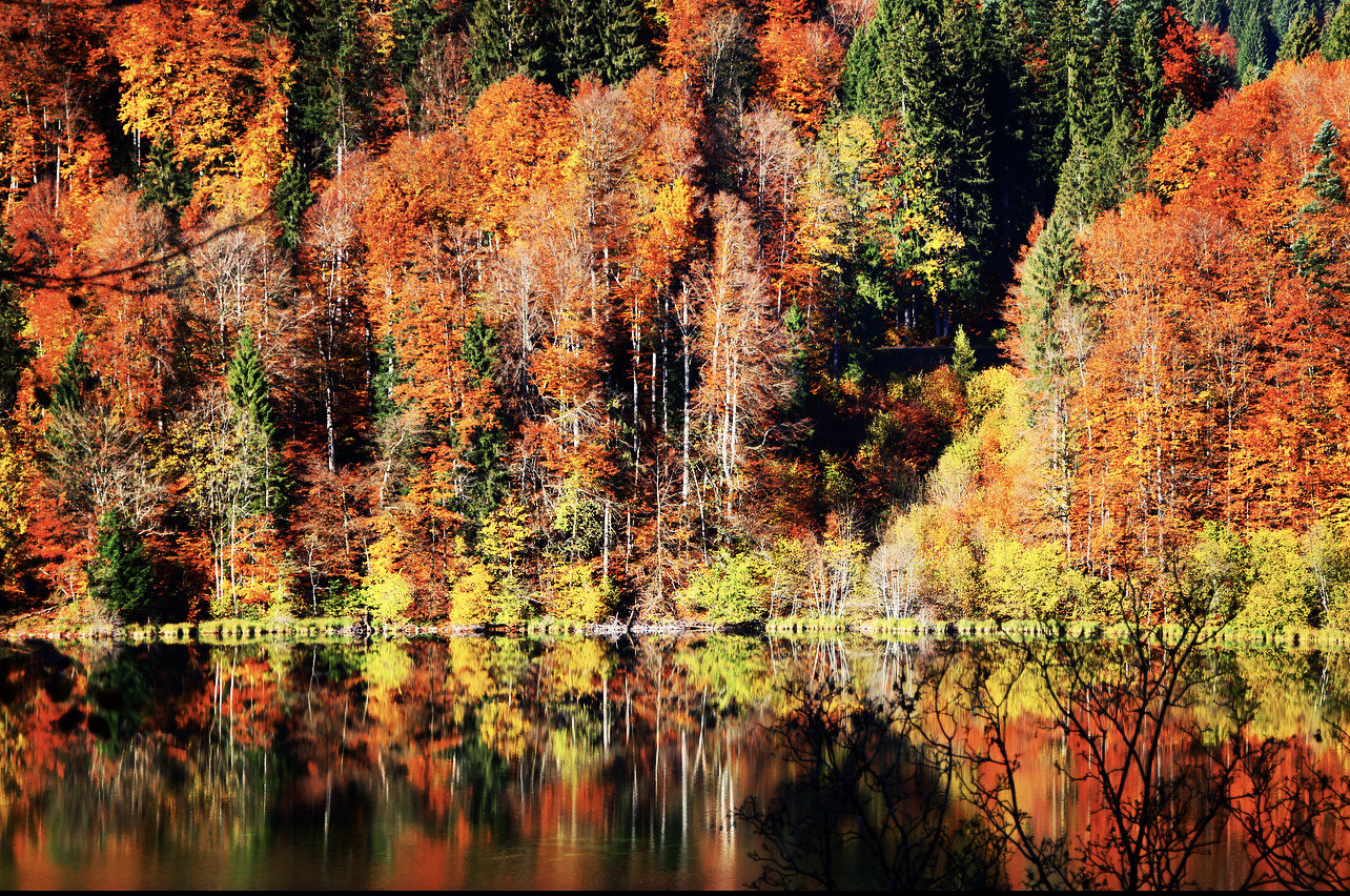 Indian Summer im Allgäu