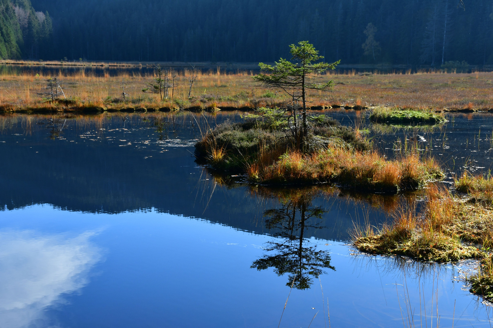 Indian Summer im Bayerischen Wald