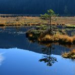 Indian Summer im Bayerischen Wald