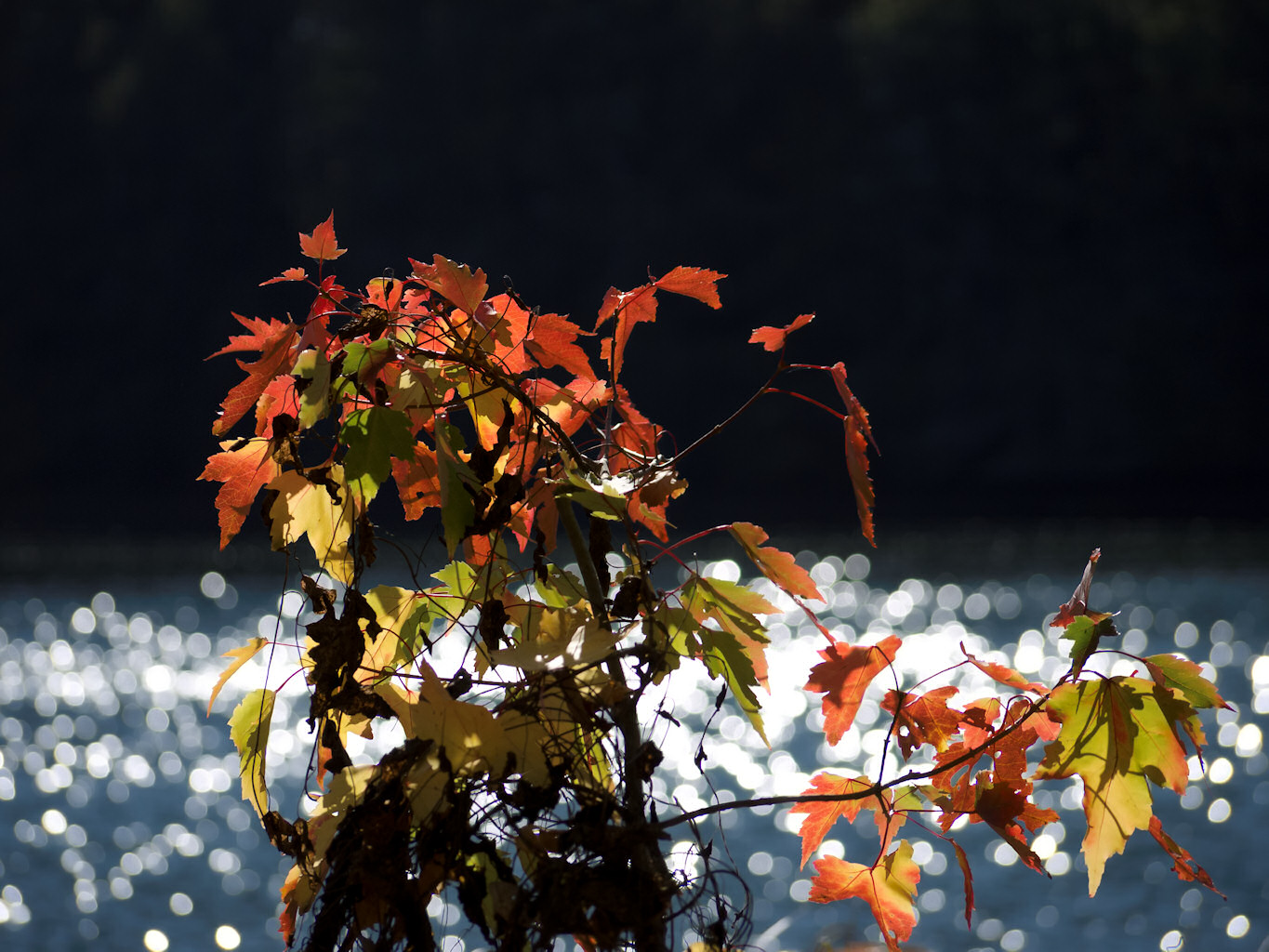 Indian Summer im Bergischen Land