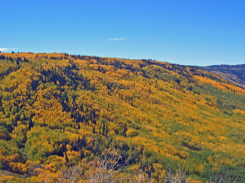 Indian Summer im Colorado