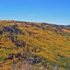 Indian Summer im Colorado