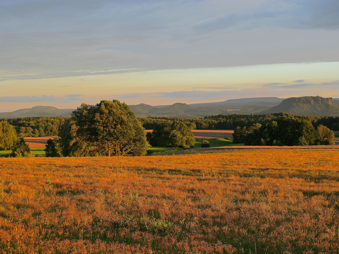 Indian Summer im Elbsandstein