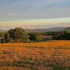 Indian Summer im Elbsandstein