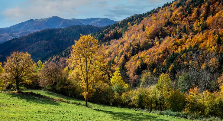 Indian Summer im Elsass