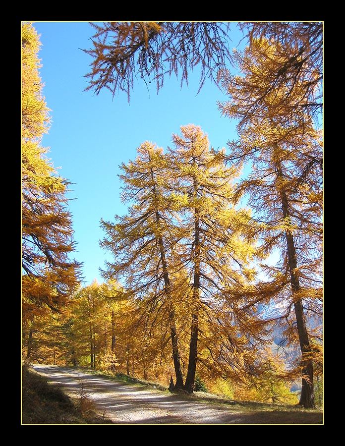 "Indian Summer" im Engadin 1