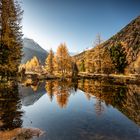 Indian Summer im Engadin