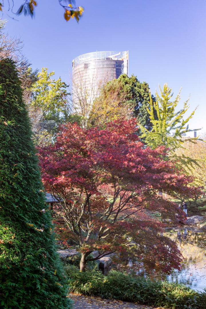 Indian Summer im Japanischen Garten