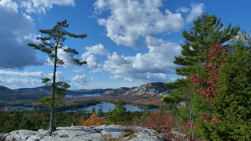 Indian Summer im La Cloche Gebirge / Killarney / Ontario