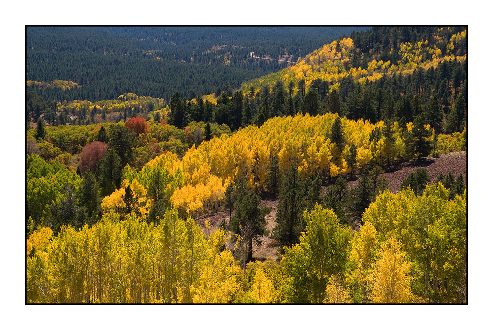 Indian Summer im Manti - La Sal National Forest