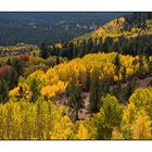 Indian Summer im Manti - La Sal National Forest