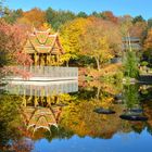 Indian Summer im Münchner Westpark