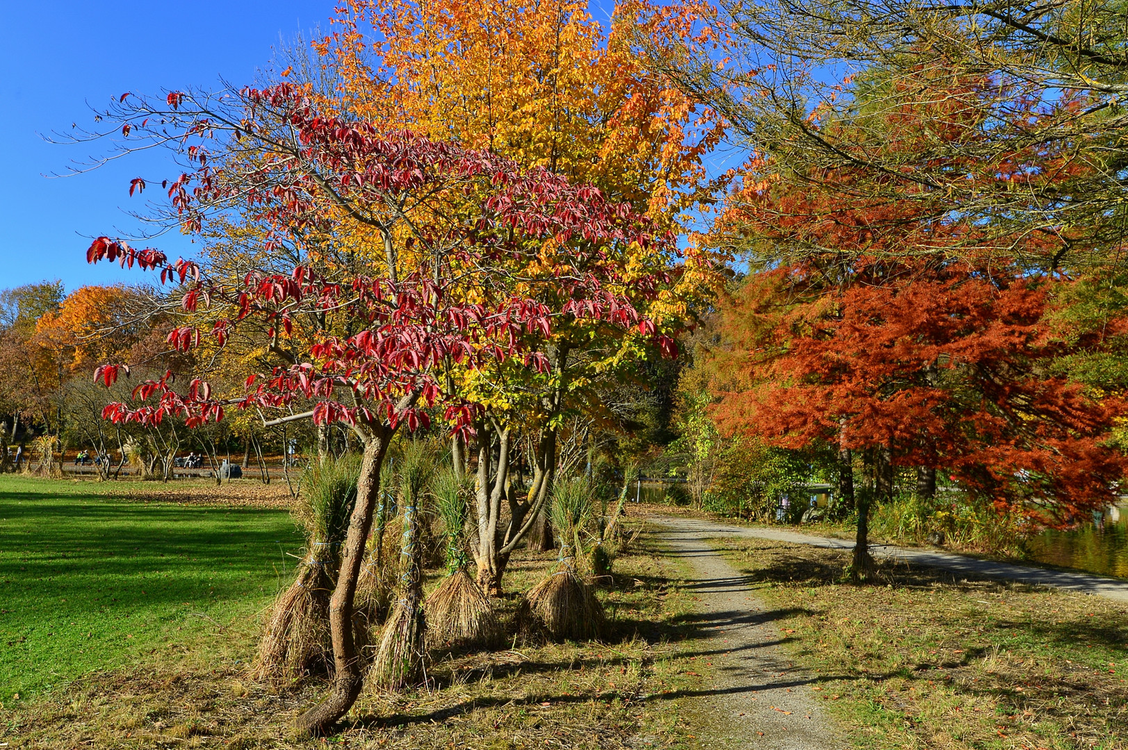 Indian Summer im Münchner Westpark