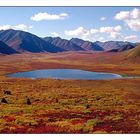 Indian Summer im Nord-Yukon