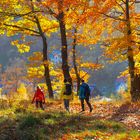 Indian summer im Polnischen Riesengebirge