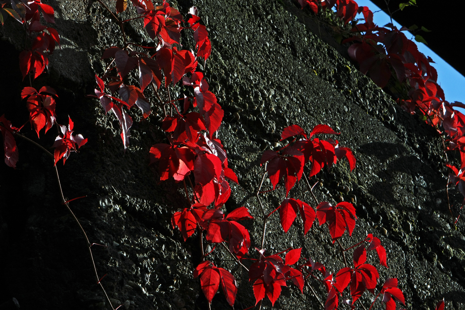 Indian Summer im Ruhrpott