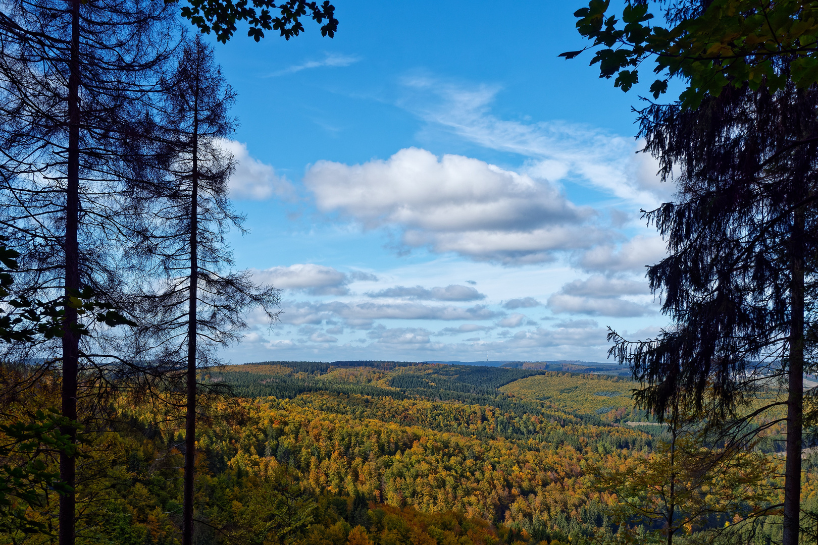 Indian Summer im Sauerland