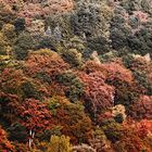 Indian summer im Sauerland