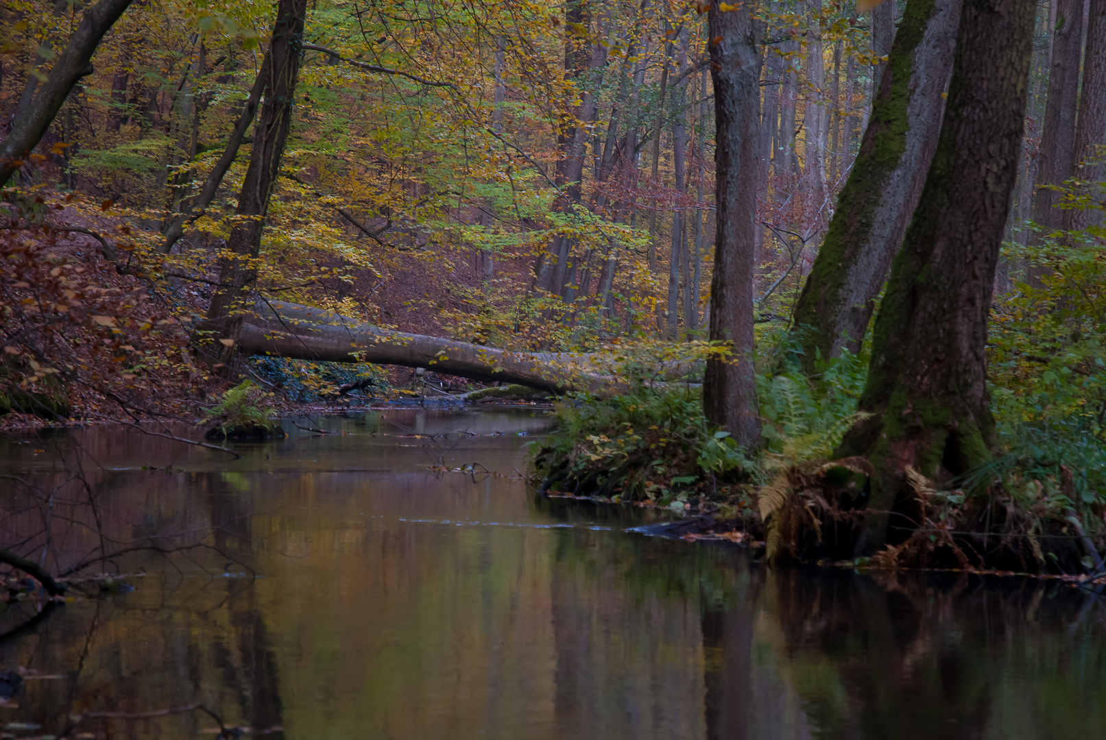 Indian Summer im Schlaubetal