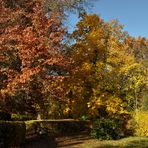 INDIAN SUMMER, im Schlosspark............., ein Feuerwerk an Farben........