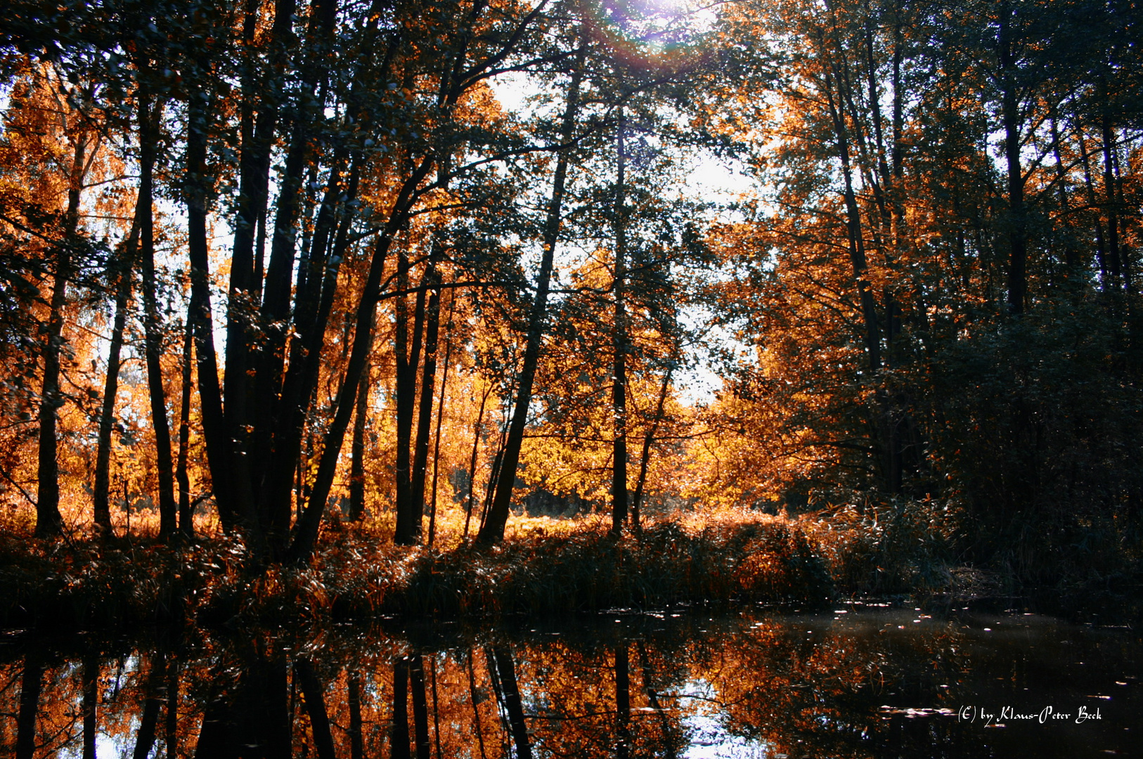 Indian Summer im Spreewald