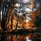 Indian Summer im Spreewald