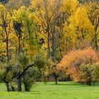 Indian Summer im Taunus, Teil 2