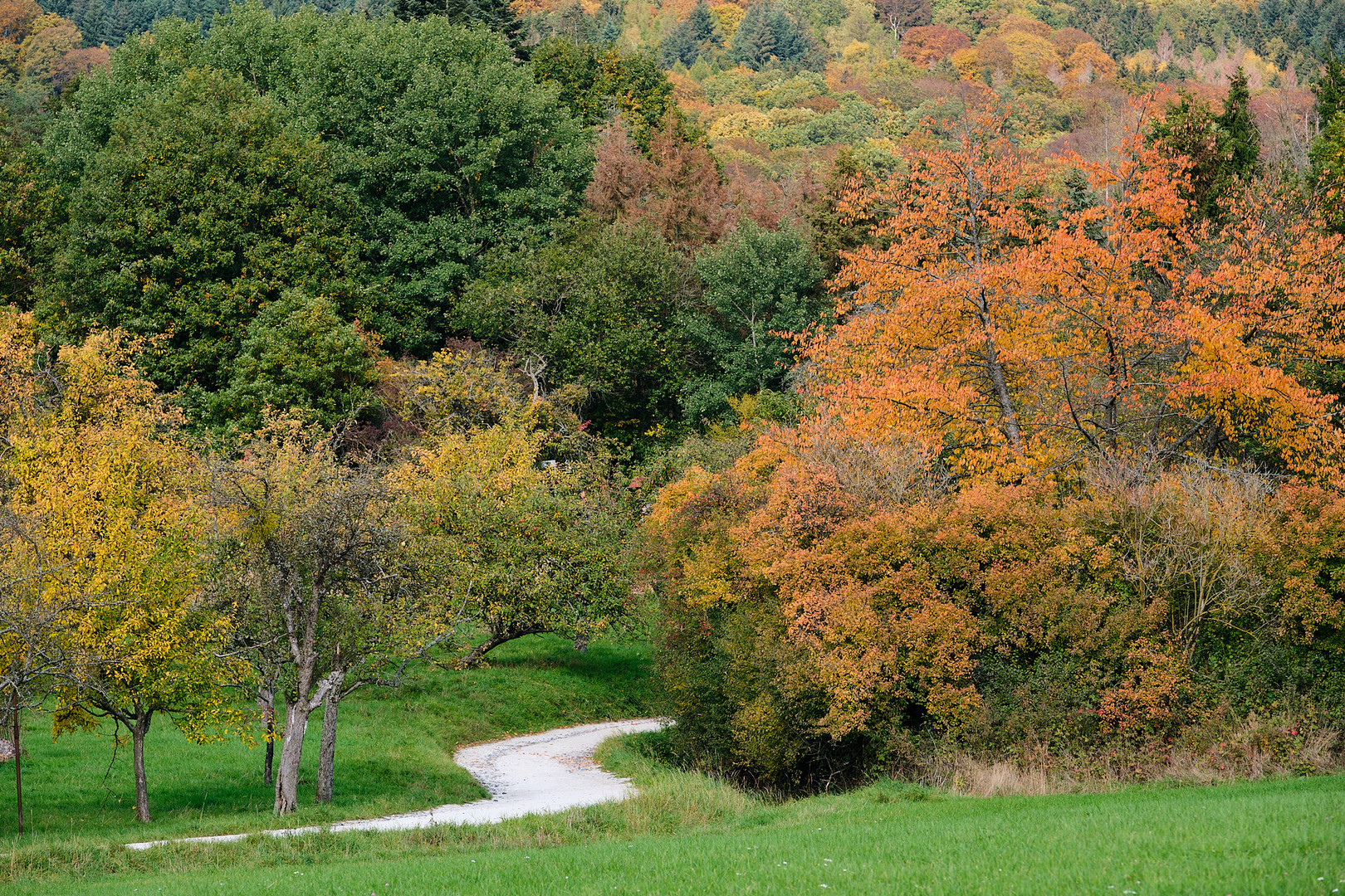 Indian Summer im Taunus, Teil 3