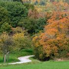 Indian Summer im Taunus, Teil 3