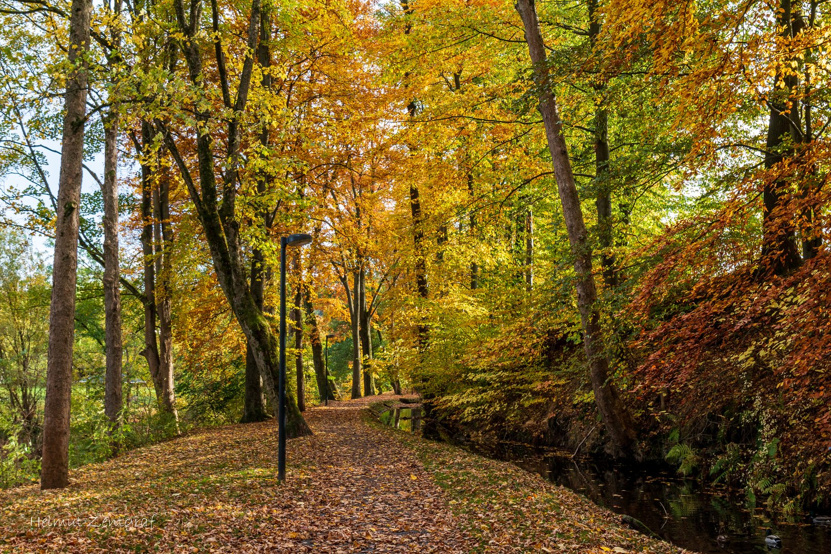 Indian Summer im Thüringer Wald