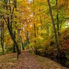 Indian Summer im Thüringer Wald