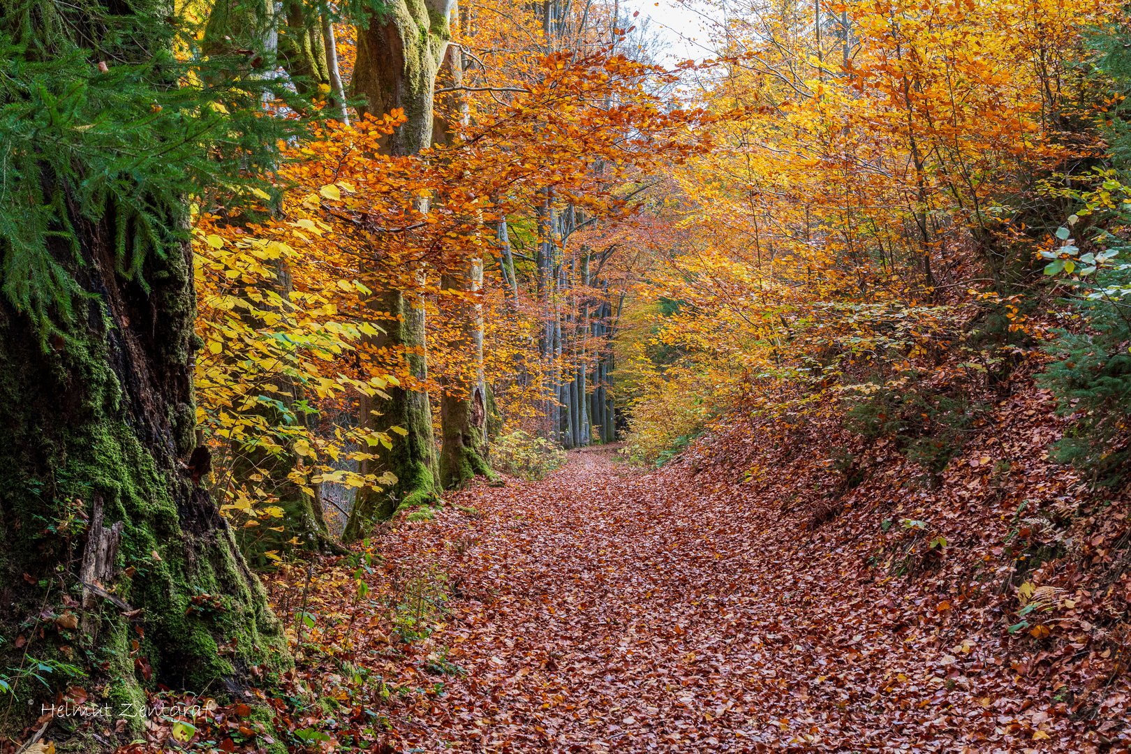 Indian Summer im Thüringer Wald