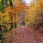 Indian Summer im Thüringer Wald