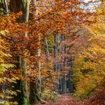 Indian Summer im Thüringer Wald