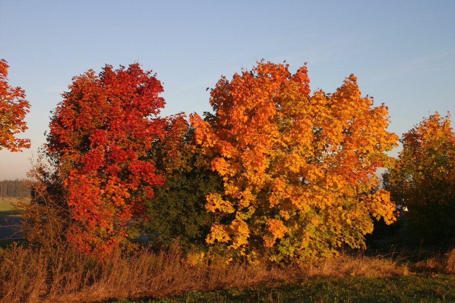 Indian Summer im Vogtland