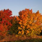 Indian Summer im Vogtland