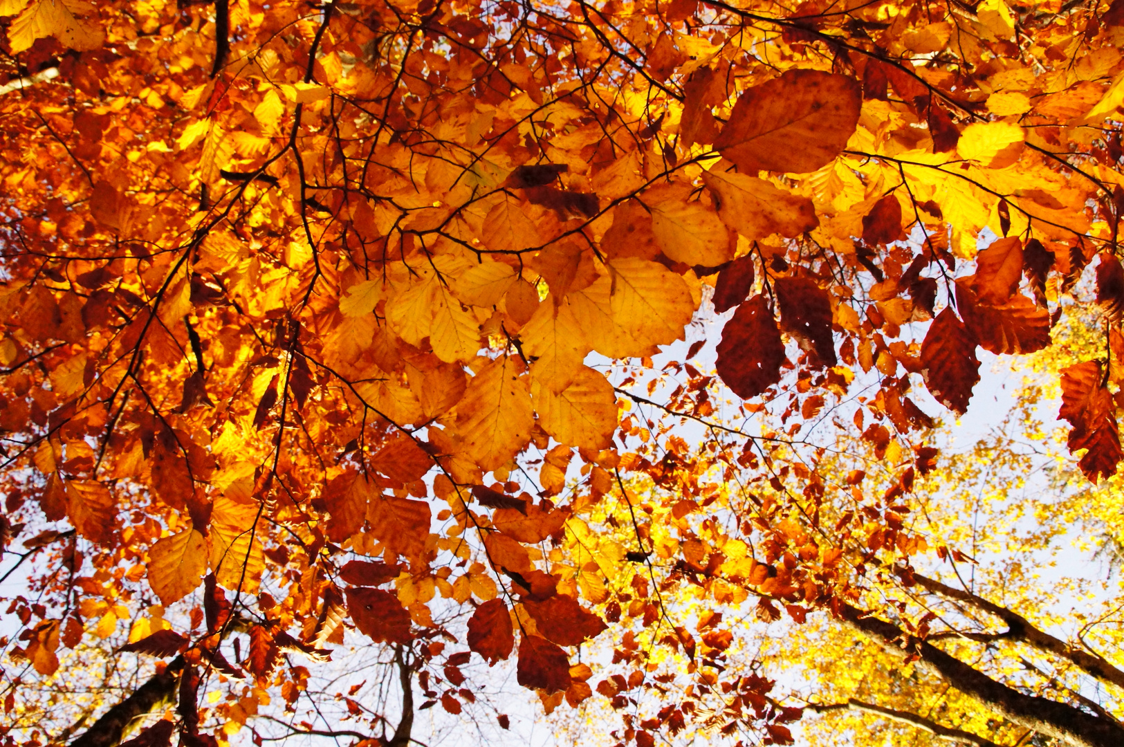 indian summer im voralpenland