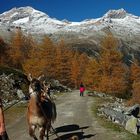 Indian Summer im Zillertal