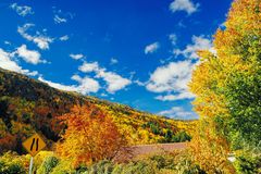 Indian Summer in Arrowtown