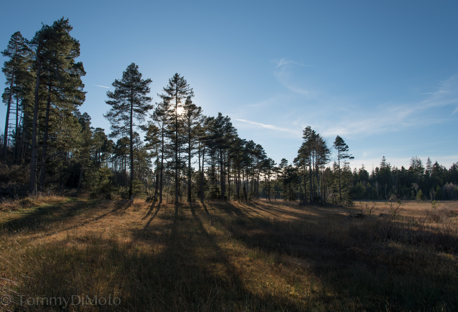 Indian summer in Bavaria