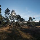 Indian summer in Bavaria