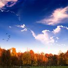 Indian Summer in Bavaria