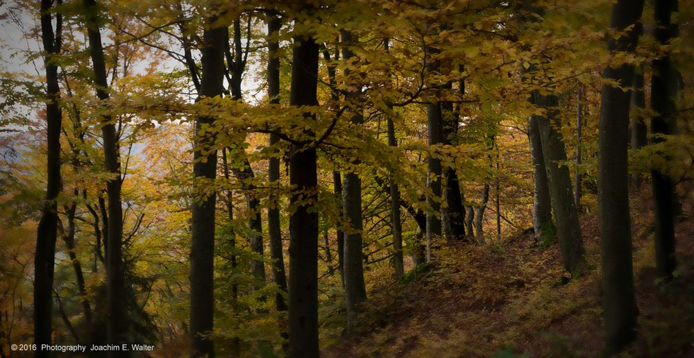 Indian Summer in Bayern