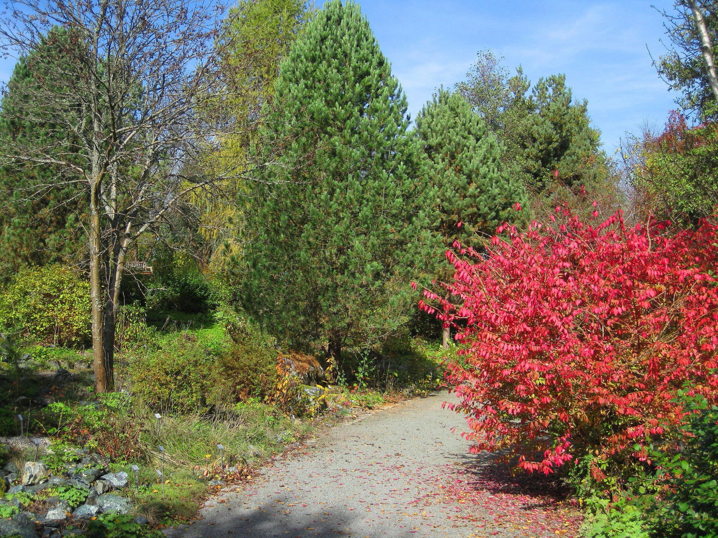 Indian summer in Bayreuth