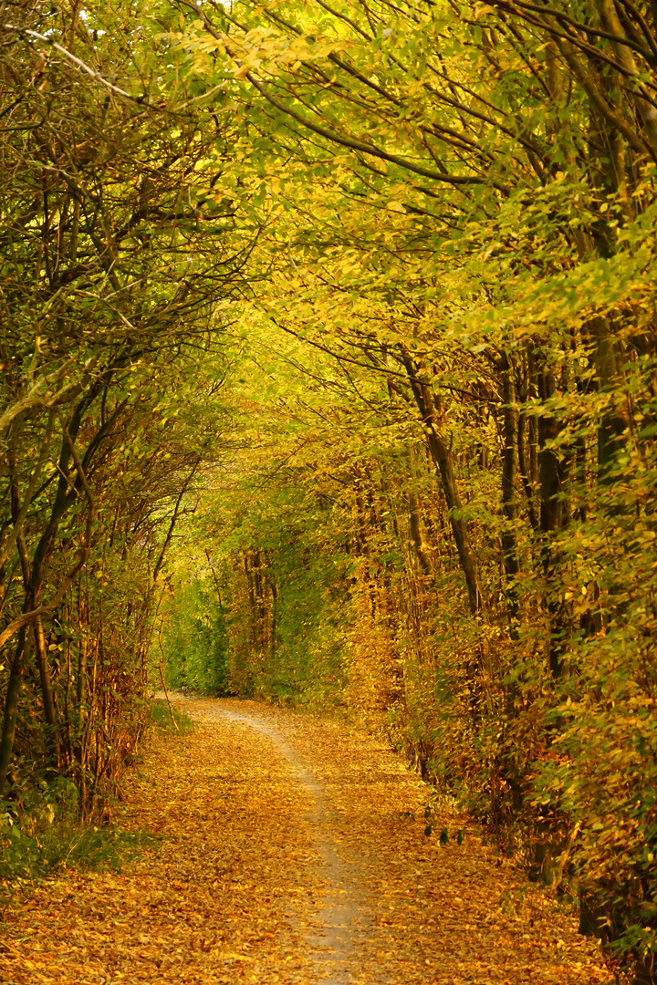 Indian Summer in Billerbeck