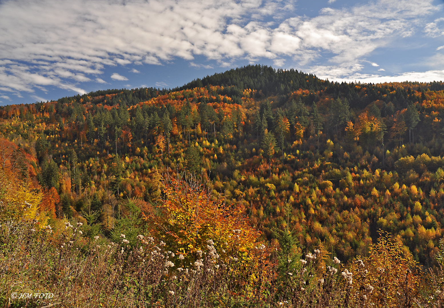 Indian Summer in Black Forest