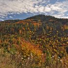 Indian Summer in Black Forest