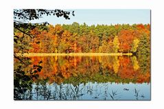 Indian Summer in Brandenburg